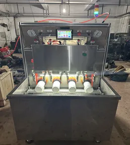 Four-Station Leak Detection Machine 1